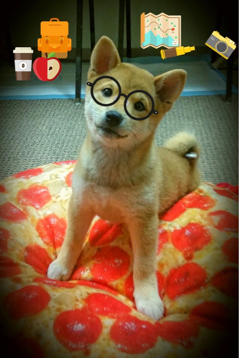 开云APP-末节风暴！霍勒迪统治攻防导演一波流，新疆队窒息节奏带走森林狼