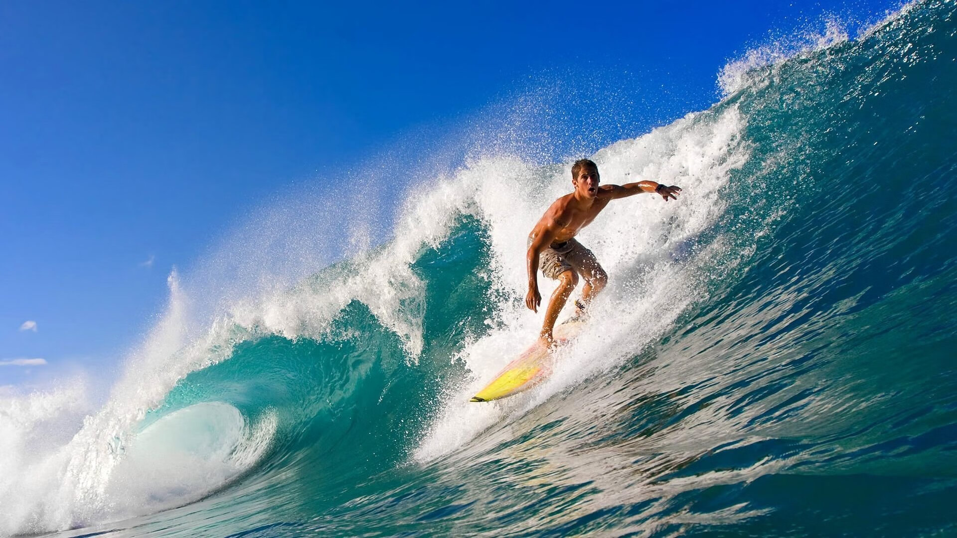 告别之时,谁还在场边书写永恒,巴尔韦德的艺术品与伊朗95分钟的绝望一刀