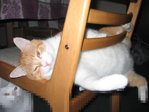 当格子军团席卷圣西罗,巴雷拉在NBA季后赛的时空交错传奇