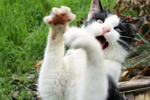 黄昏与黎明，鹈鹕的绞杀式防守如何终结太阳时代