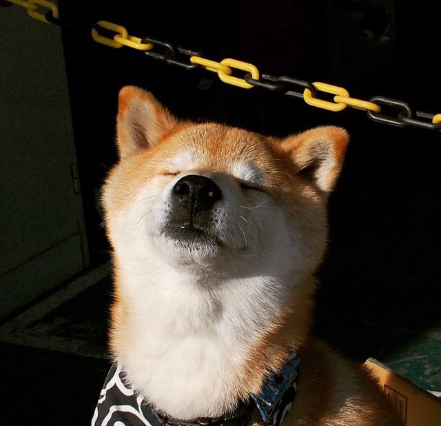 F1街道赛之夜，范弗利特如何用钢铁神经演绎稳定输出的艺术