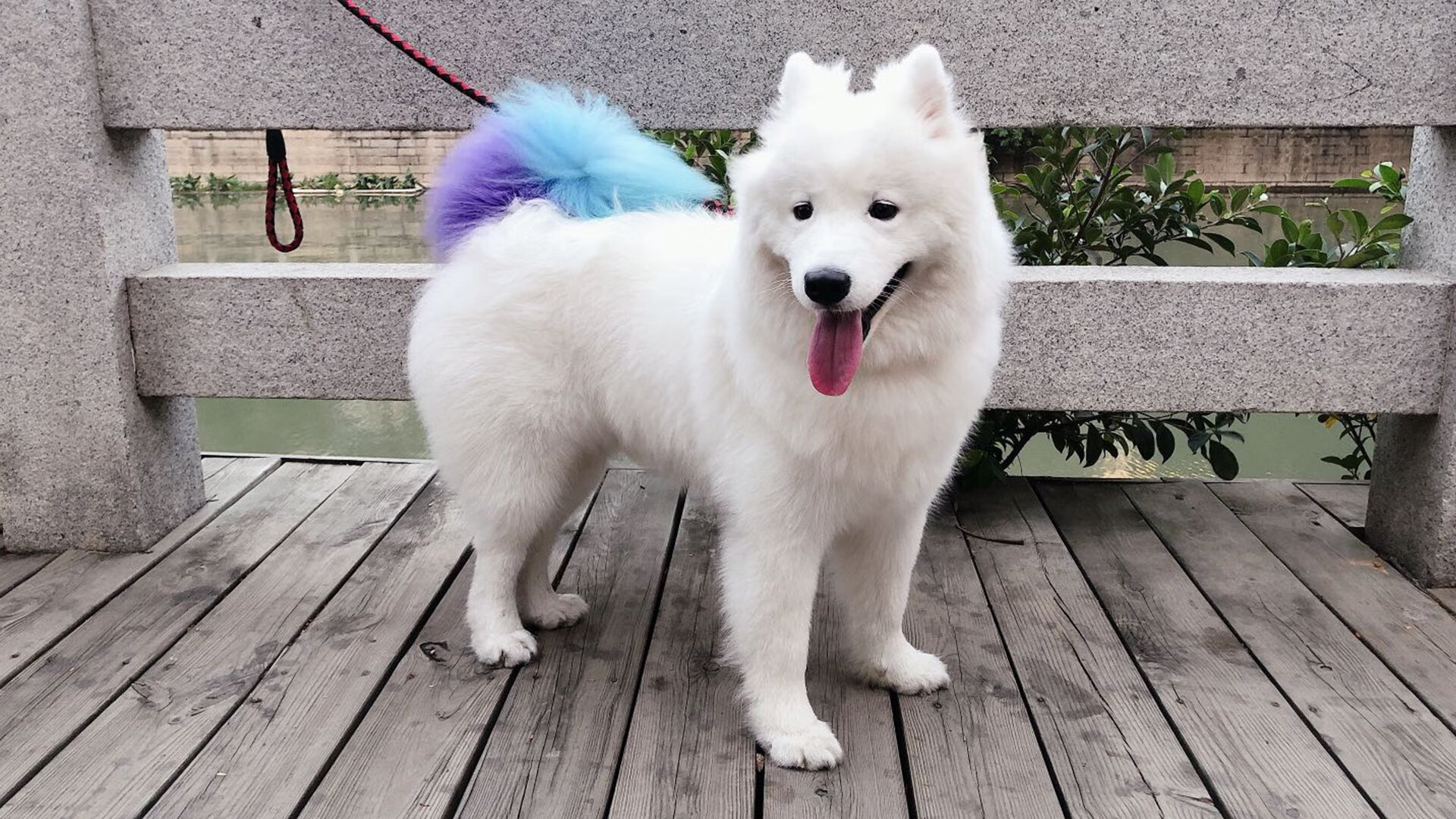 开云下载-当门墙遇见铁幕，奥纳纳的孤高与芬兰的集体胜利