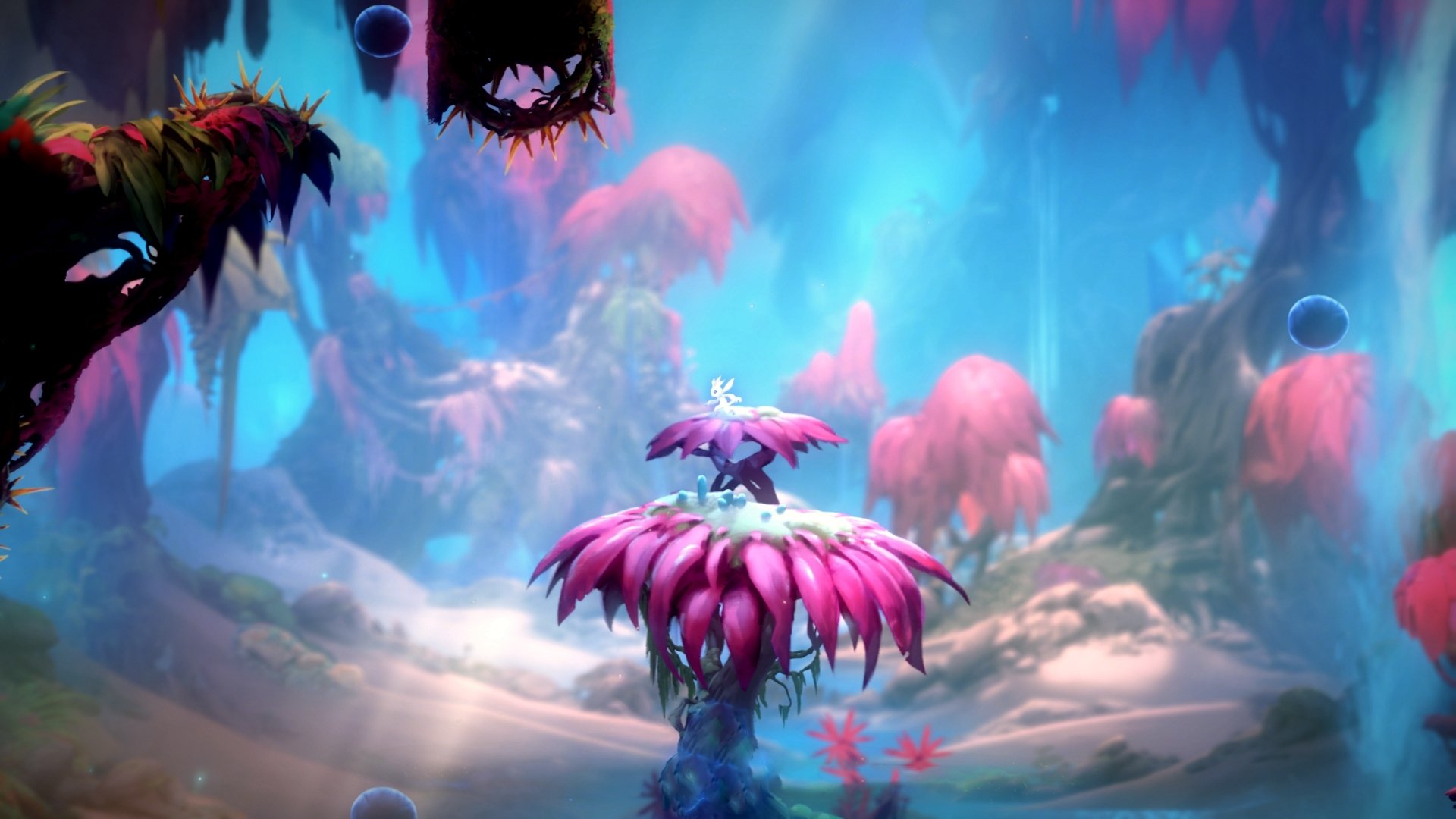 英伦姓氏的匕首，当摩洛哥用帕尔默刺穿巴西心脏