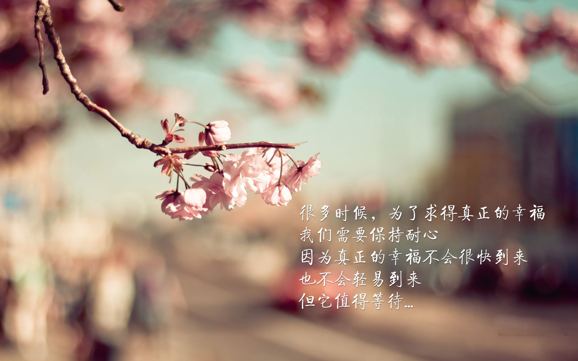 开云体育-绝境之刃，2026世界杯A组关键战，澳大利亚绝杀厄瓜多尔，卢卡库导演闪电反击