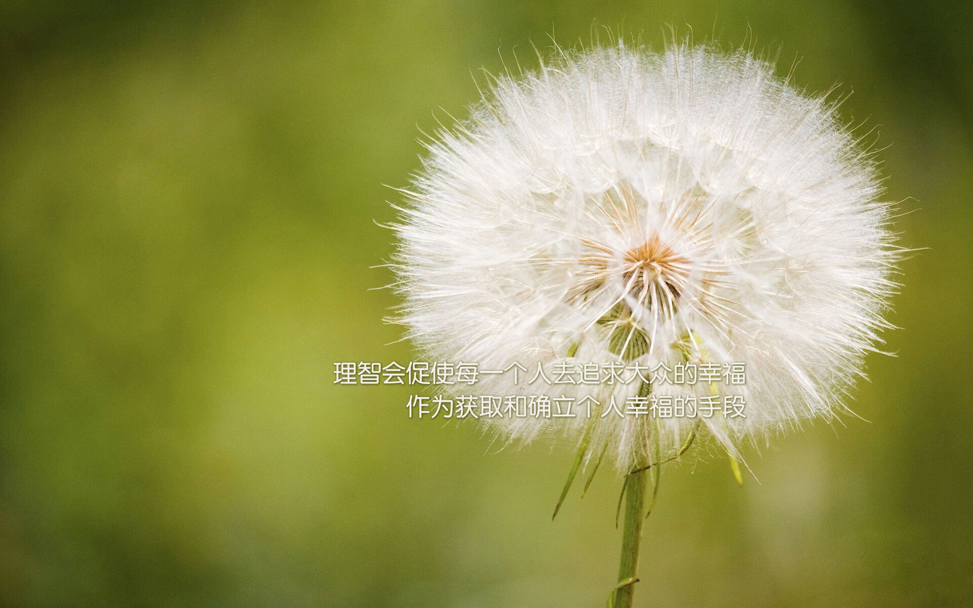 开云平台-死亡之组的冷血一击，2026世界杯A组，智利铁骑碾碎非洲雄鹰，吉鲁上演致命绝杀