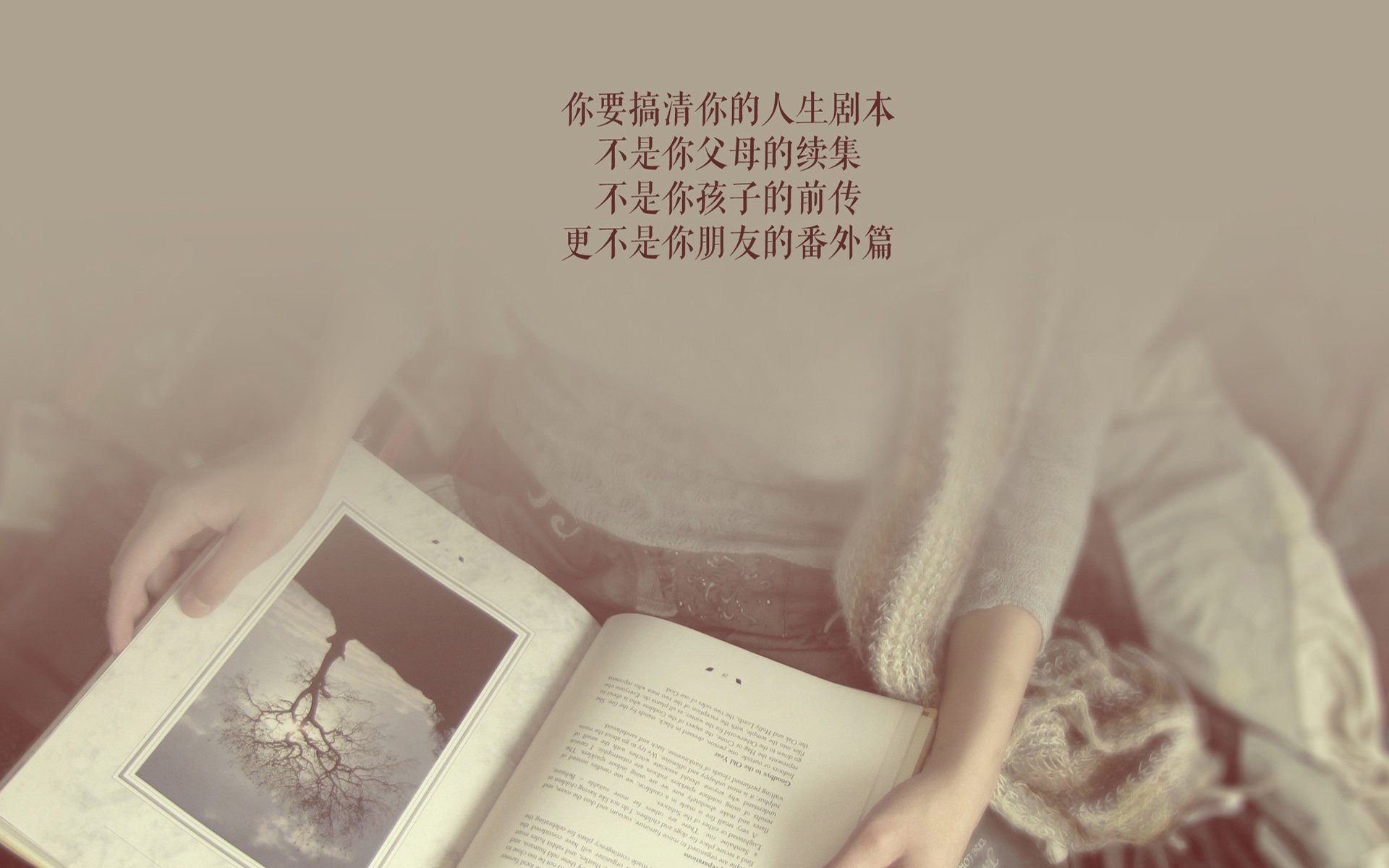 橙衣折戟,白鹰翱翔,2026世界杯C组唯一性之战,齐耶赫的铁血宣言